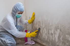 Mold Remediation for Rental Properties in Perrysburg, OH